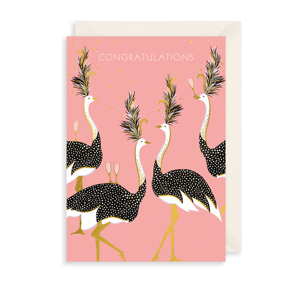 Flamingo Congratulations Greetings Card The Art File