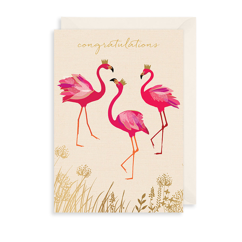 Congratulation Flamingos Greetings Card The Art File