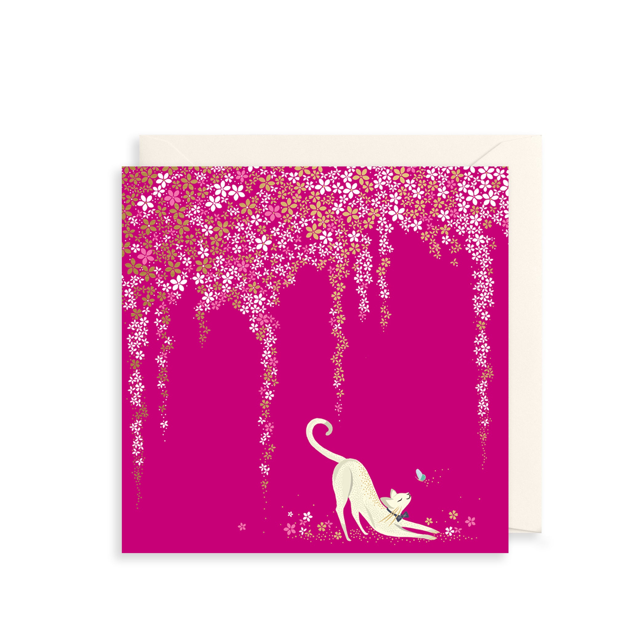 Curious Cat Greetings Card The Art File