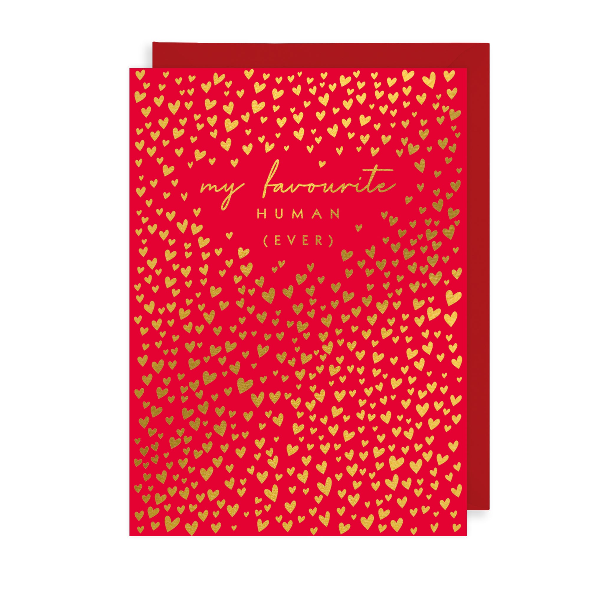 Favourite Human Ever Greetings Card The Art File