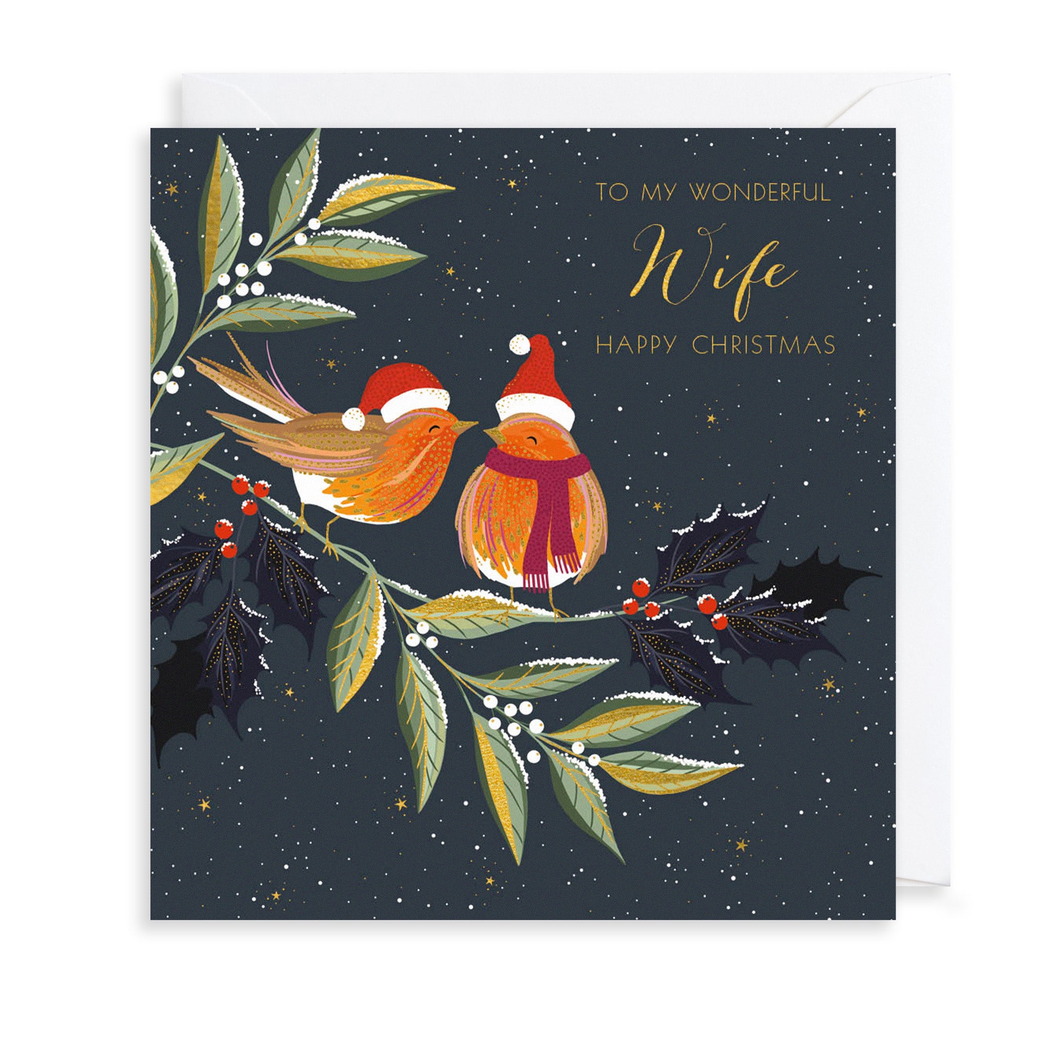 Wonderful Wife Robins Christmas Card