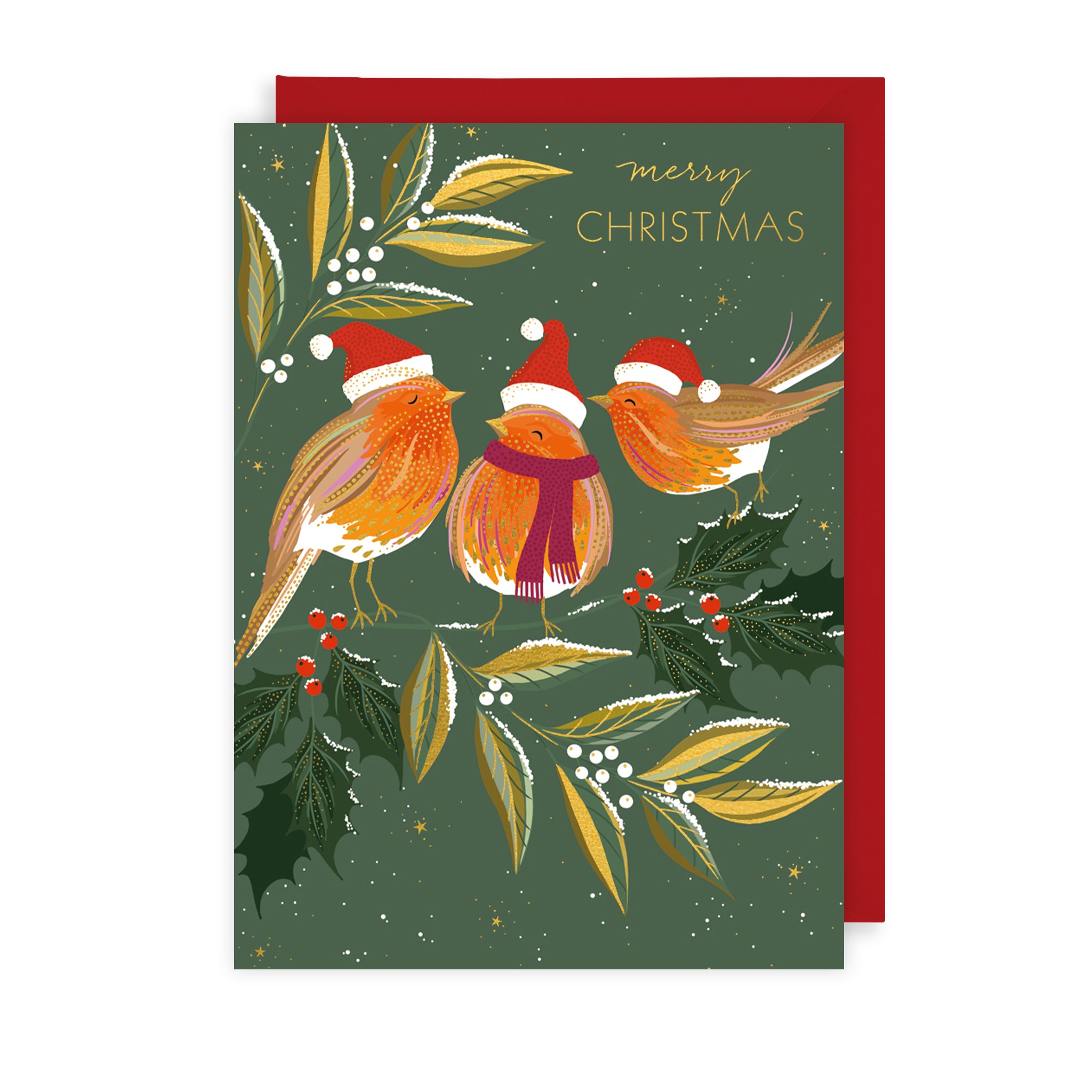 Snowy Robins Christmas Card