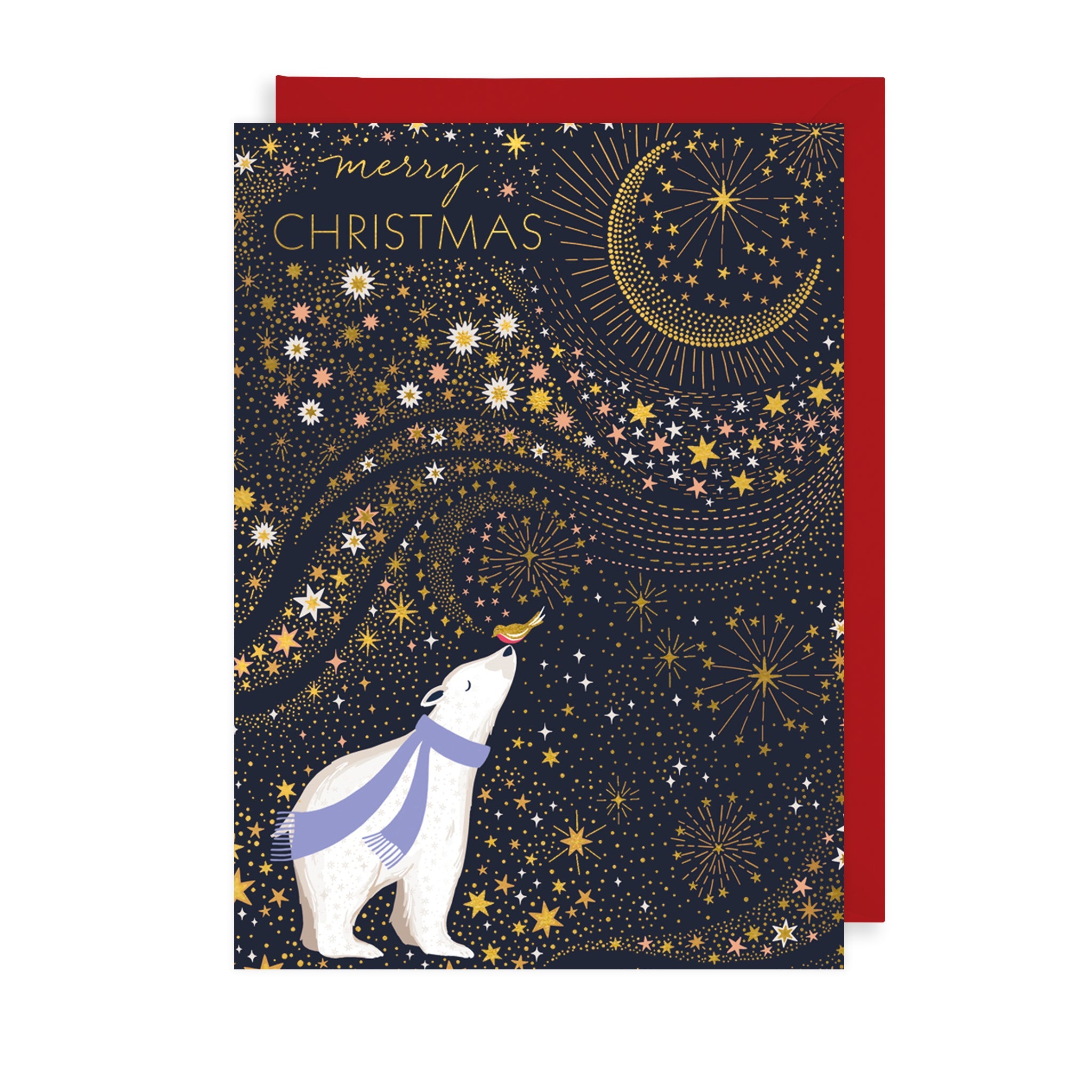 Bear & Robin Christmas Card