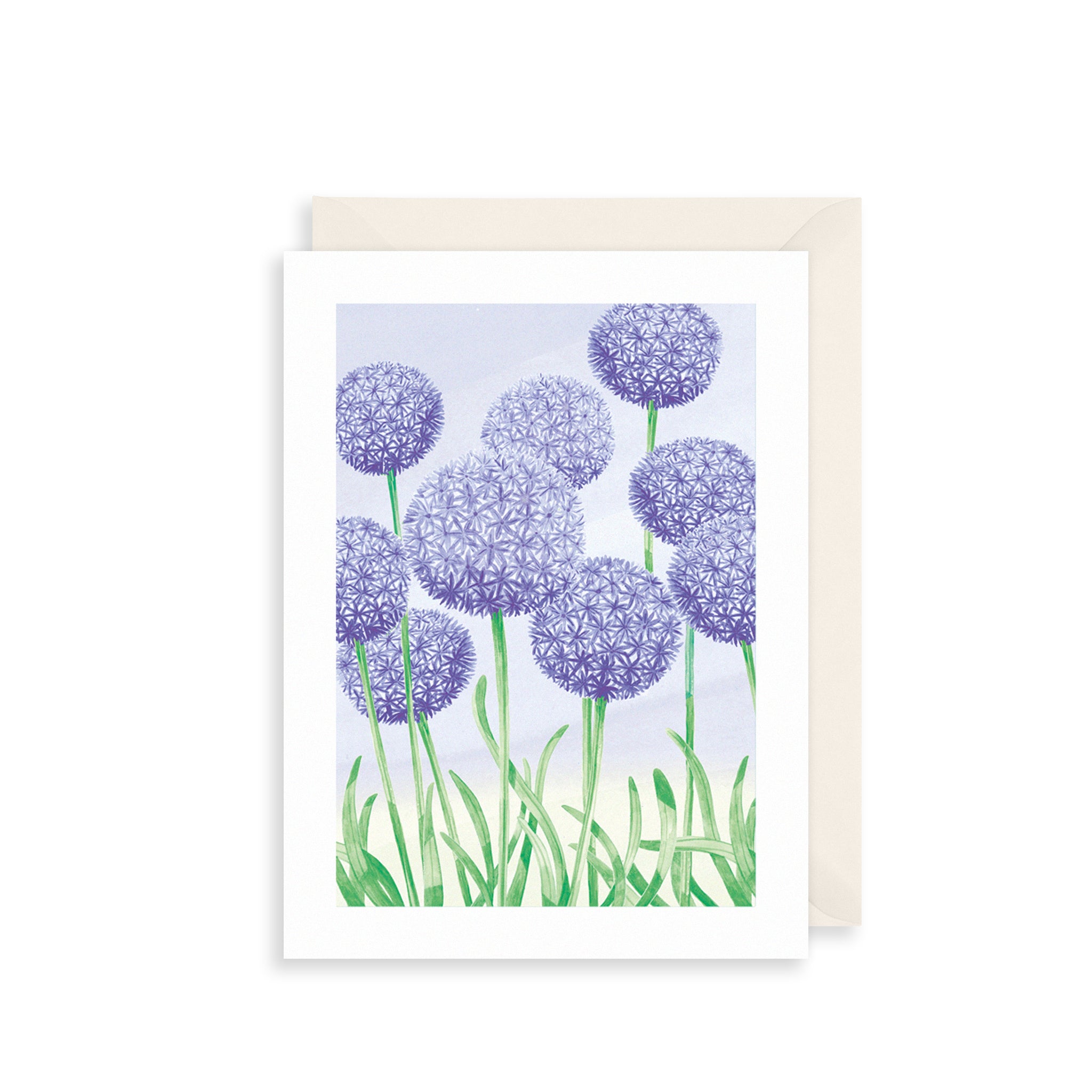 Allium Blooms Greetings Card