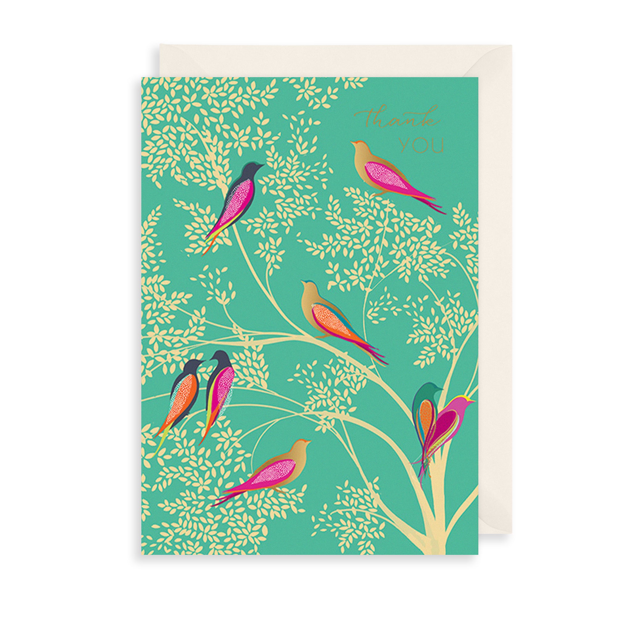 Thank You Birds Greetings Card The Art File