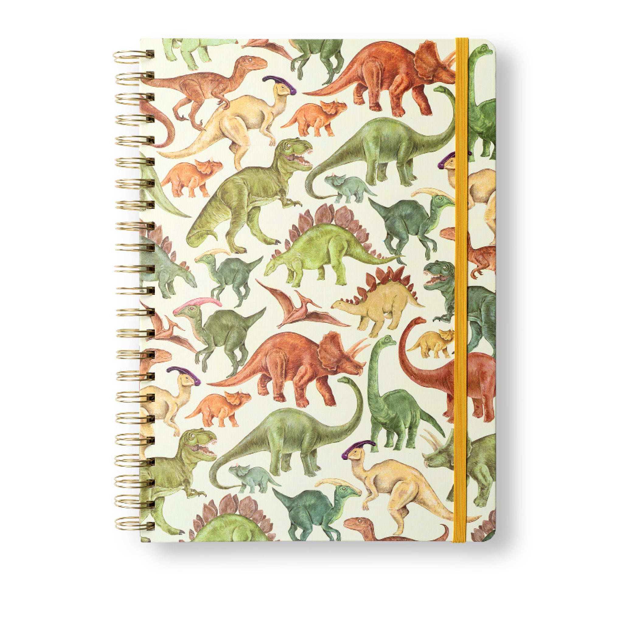 Dinosaur A4 Hardback Notebook