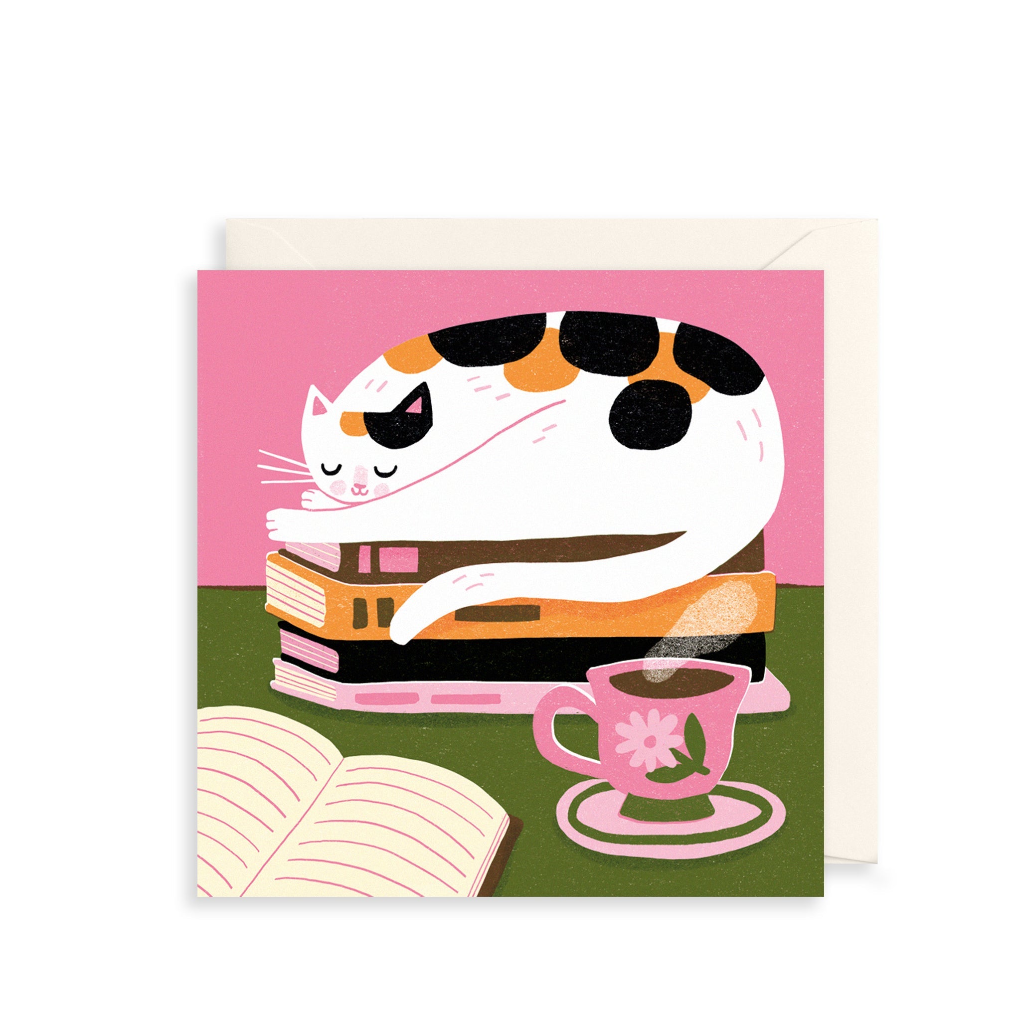 Tabby Cat on Stack of Books Everyday Card