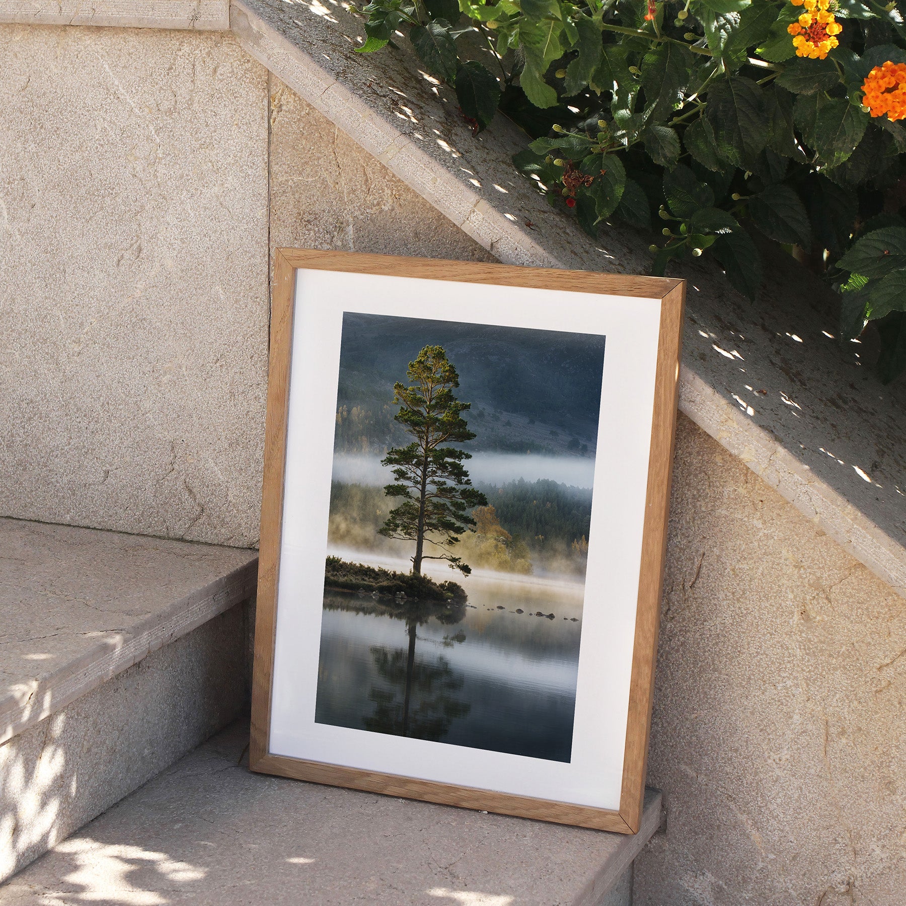 Framed photography art print featuring a tree standing on the edge of a reflective lake, perched on stone steps, outside.