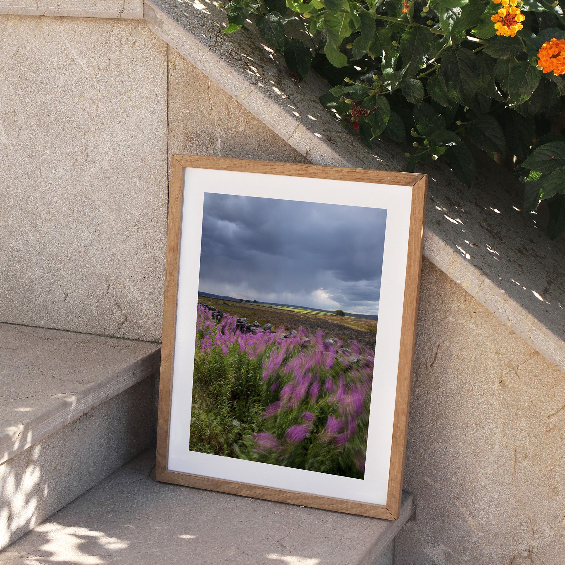 Framed art print featuring a moody meadow, perched on stone steps outside.