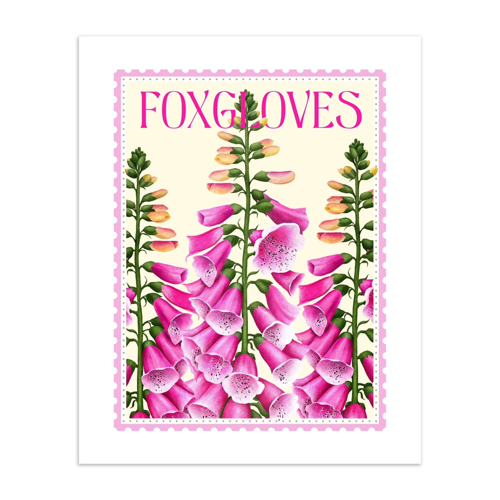 Art print featuring foxgloves, with 'foxgloves' written on a cream background.