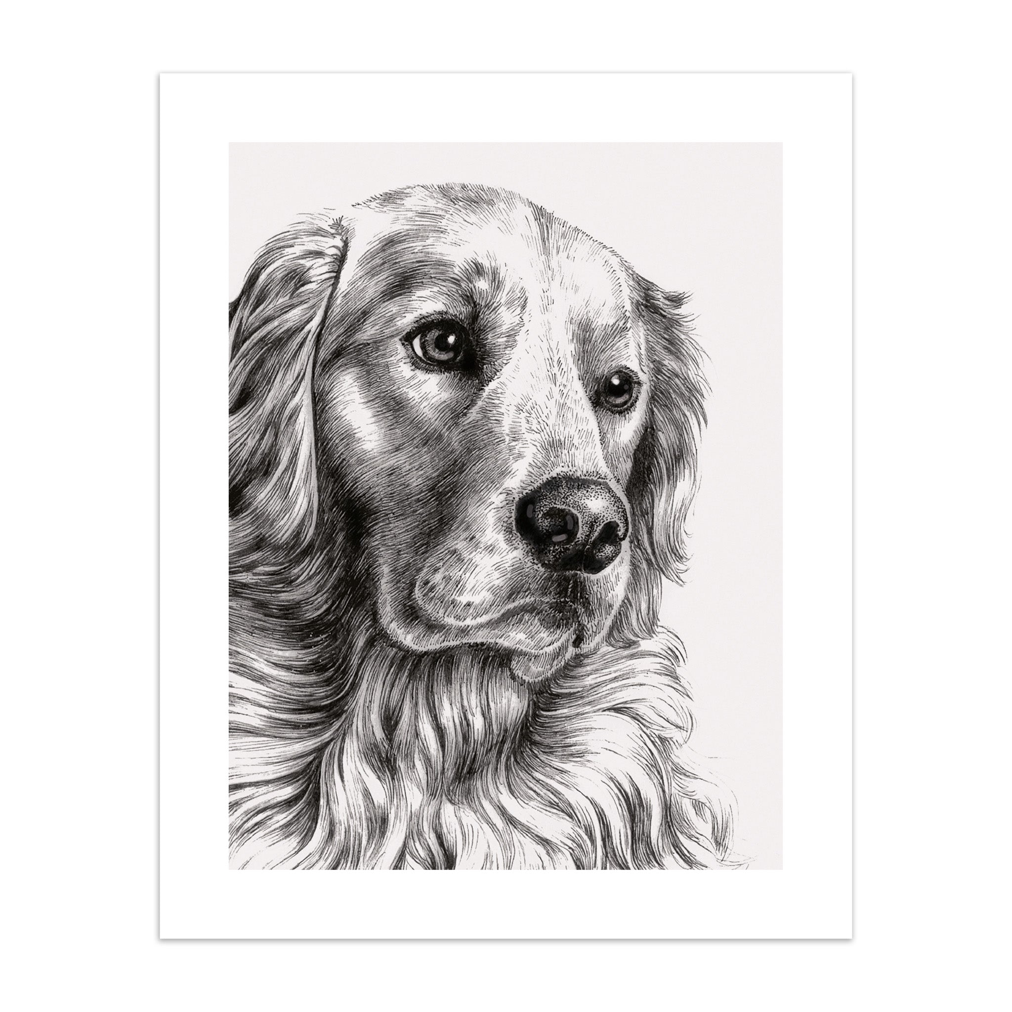 Art print of a black and white illustration of a dog's head on a white background.