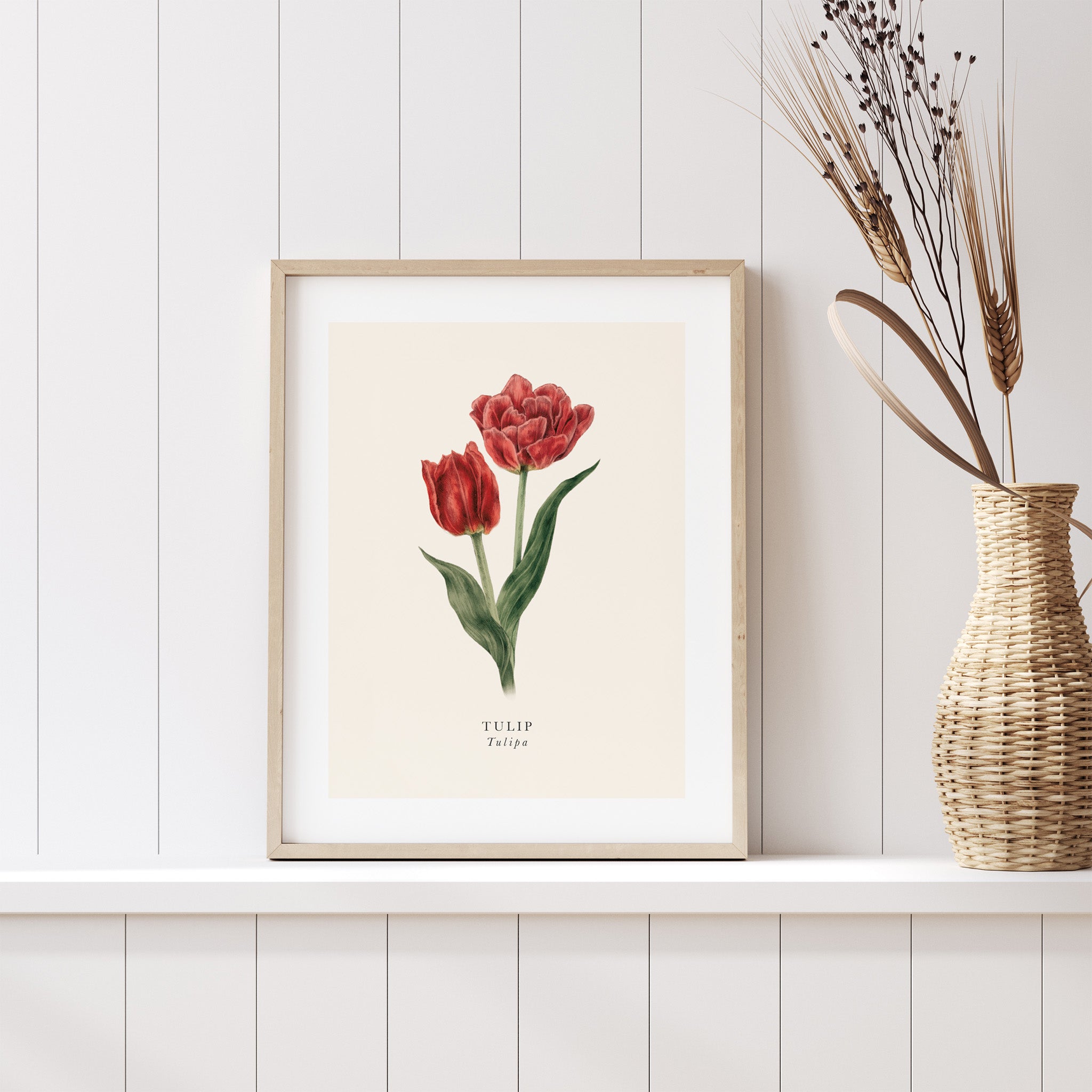 Framed botanical print of red tulips on a white wall with a woven vase.