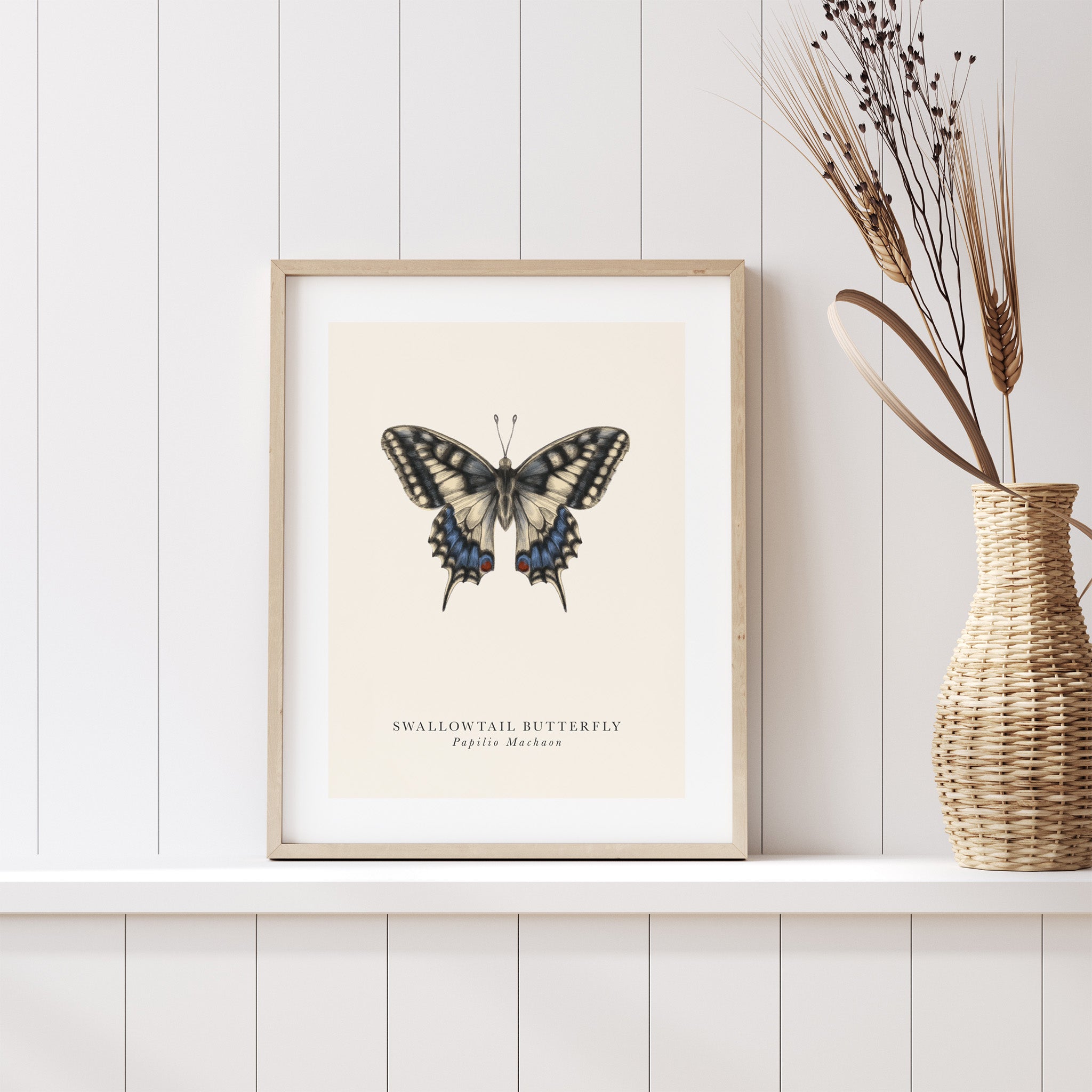 Framed butterfly artwork on a wall with a vase of dried plants.
