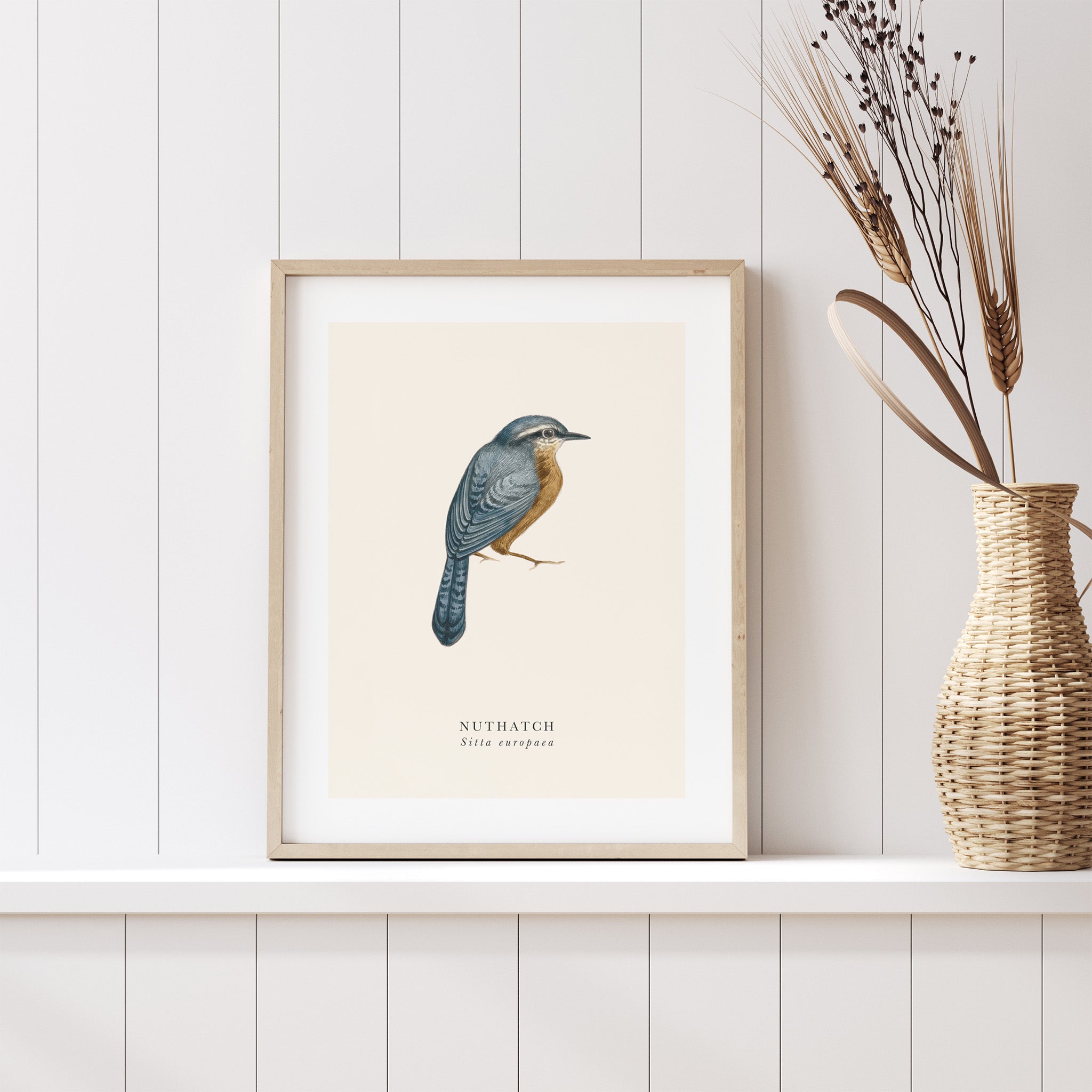 Framed bird print on a wall next to a woven vase with dried plants.