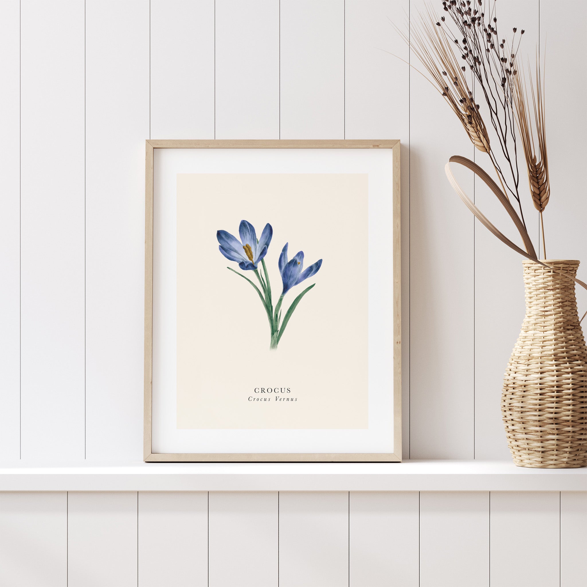 Framed botanical print of a blue flower on a white wall with a woven vase.