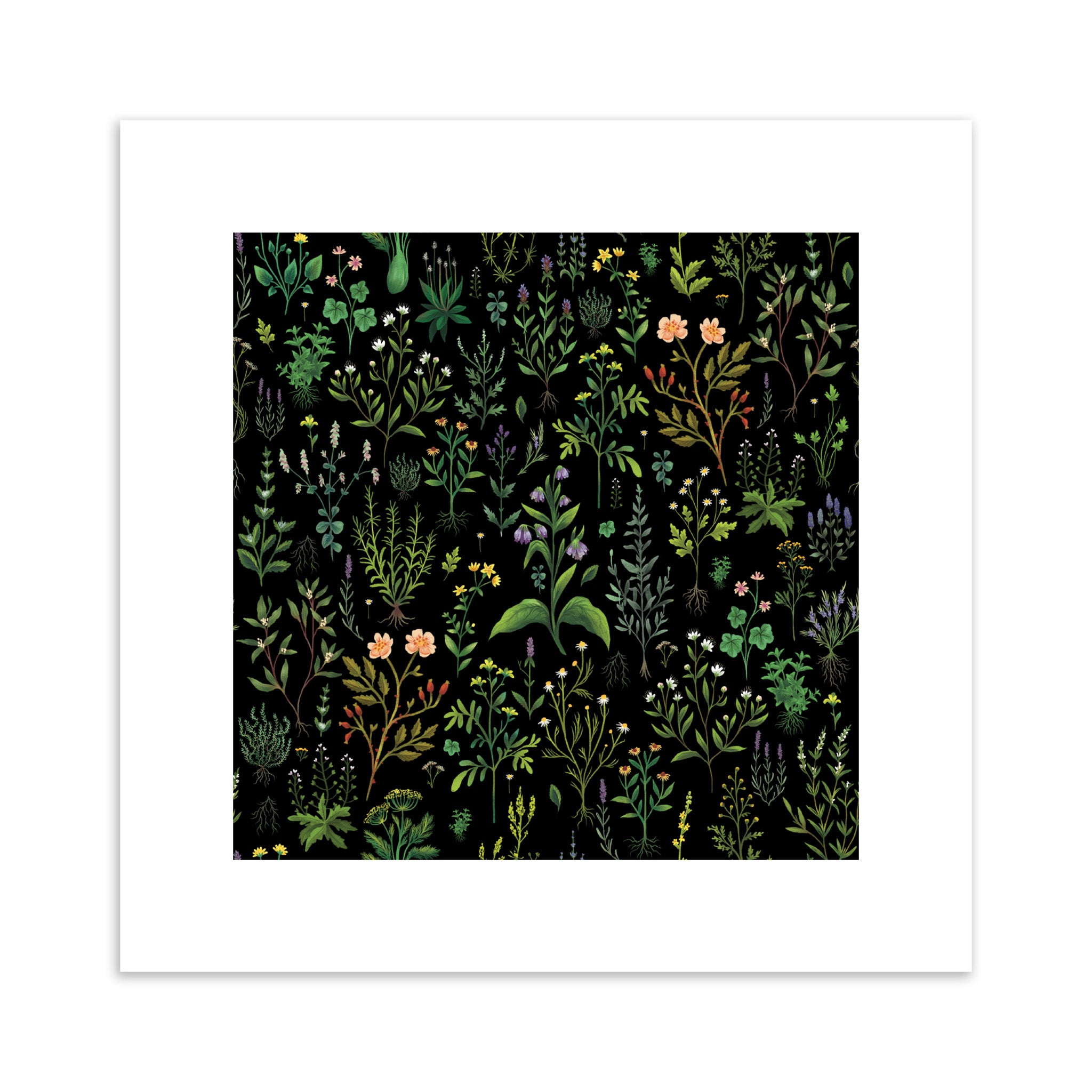 Art print featuring a herbal plant pattern on a black background.