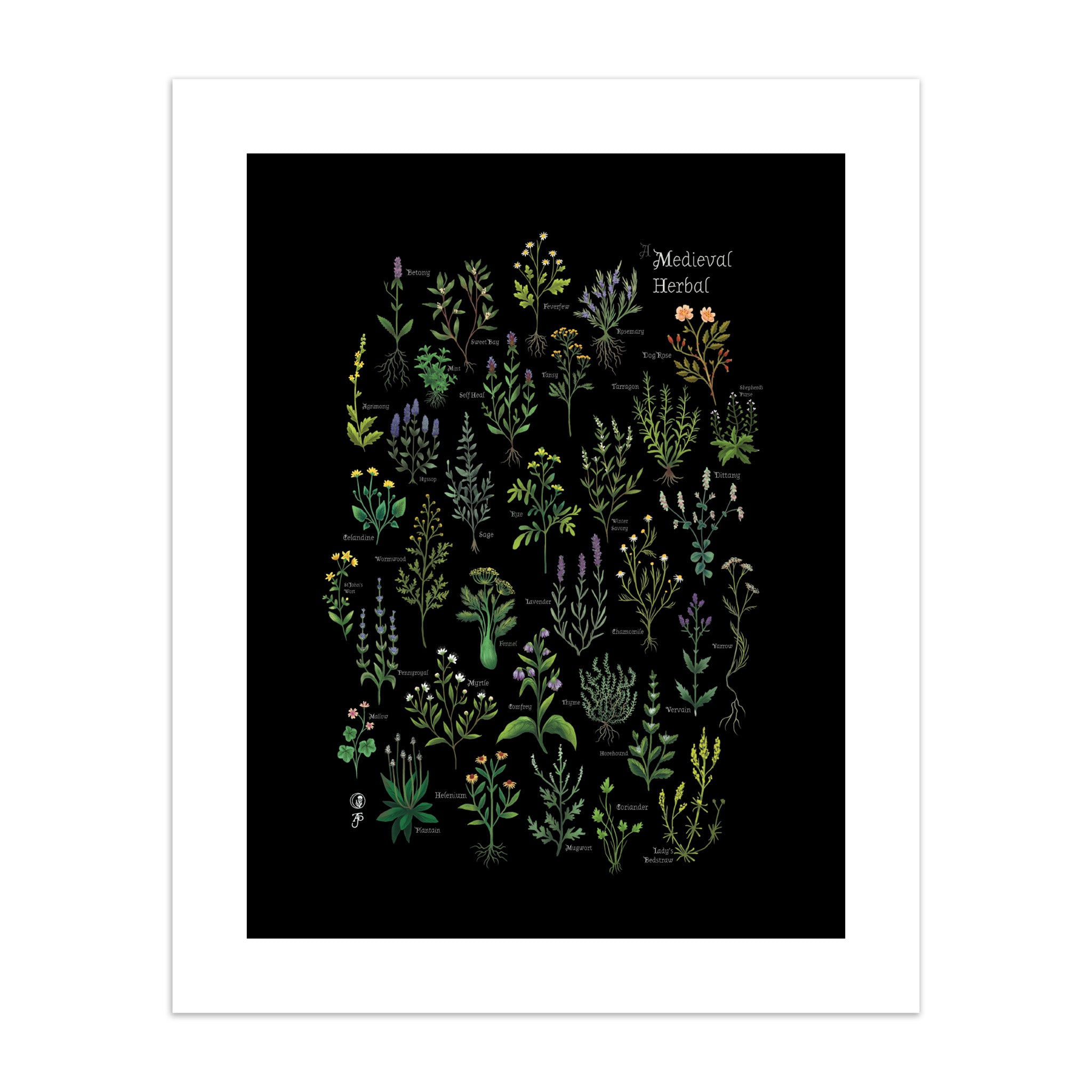 A print featuring herbal plants titled 'Medieval Herbal' on a black background.