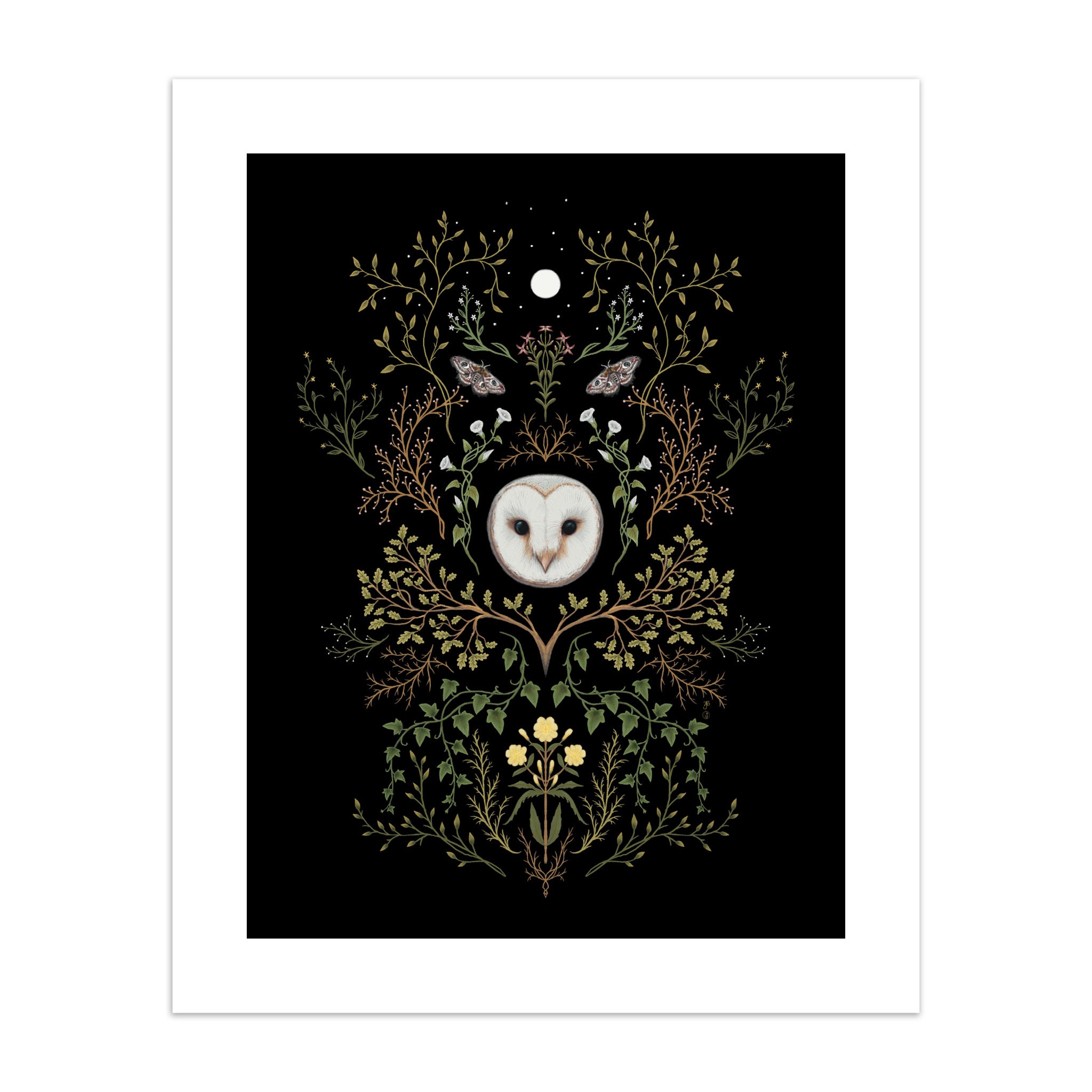 Decorative print with a barn owl surrounded by foliage on a black background.
