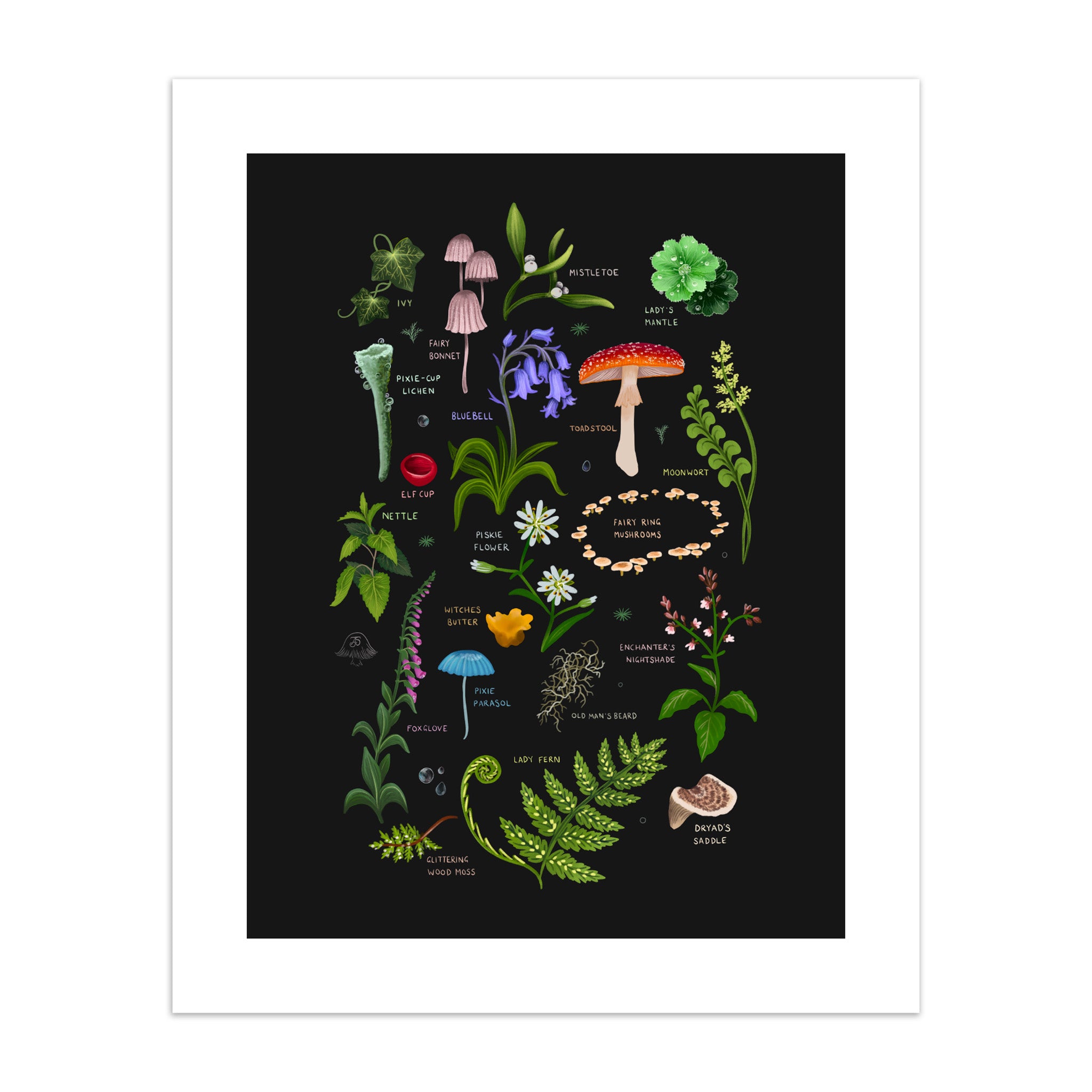 An art print featuring illustrations of fantasy flora from the woods, with titles on a black background.