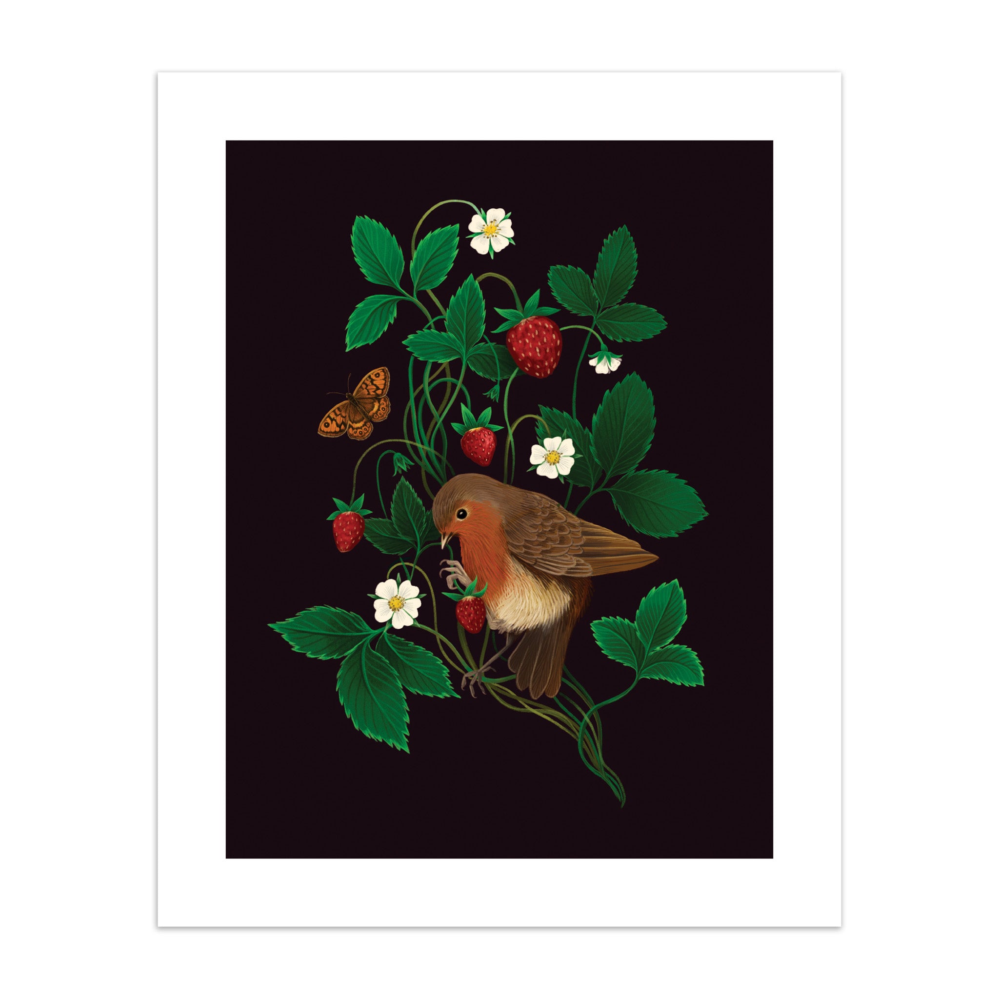 Art print featuring a robin perched within a strawberry plant on a black background.