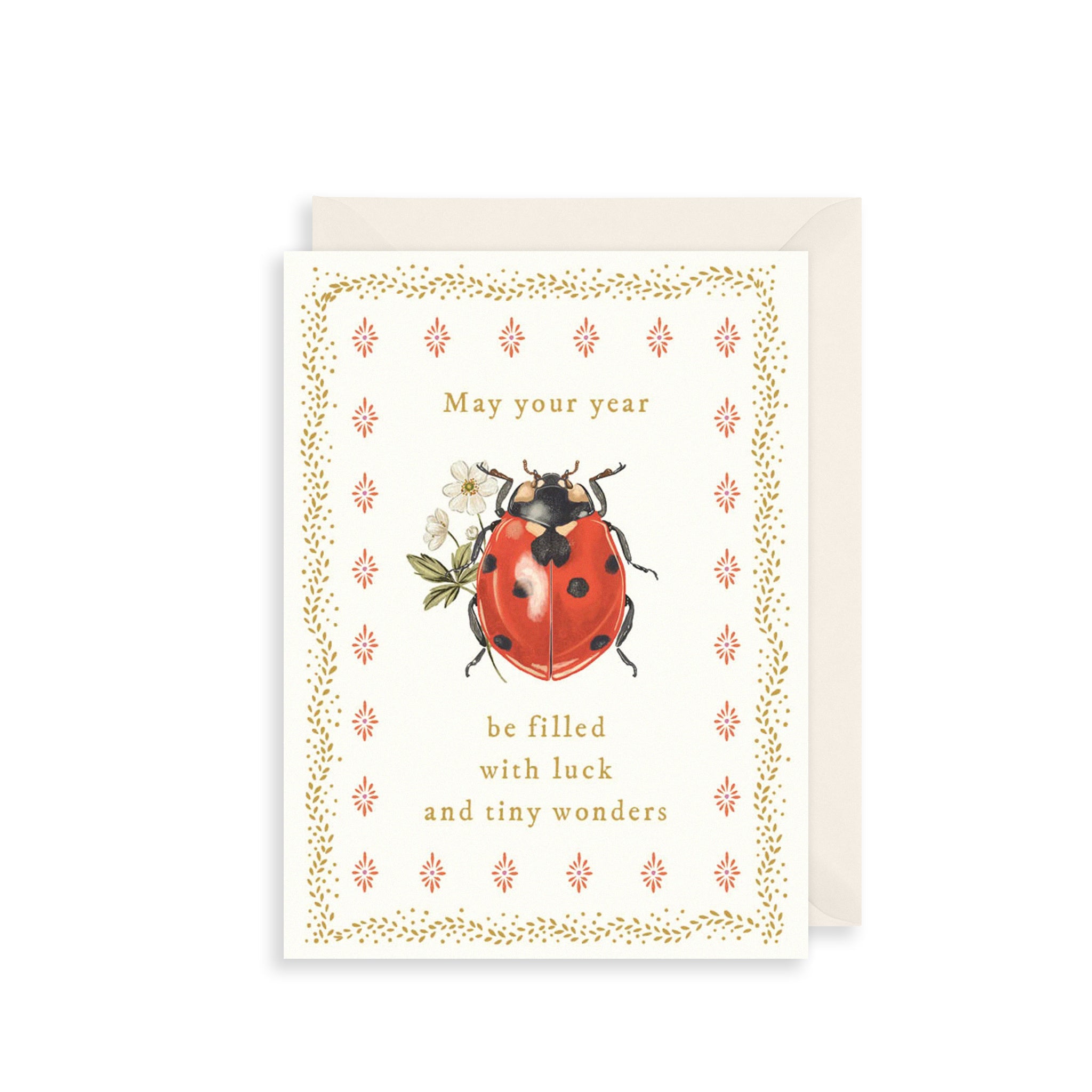 Tiny Wonders Ladybird Birthday Card
