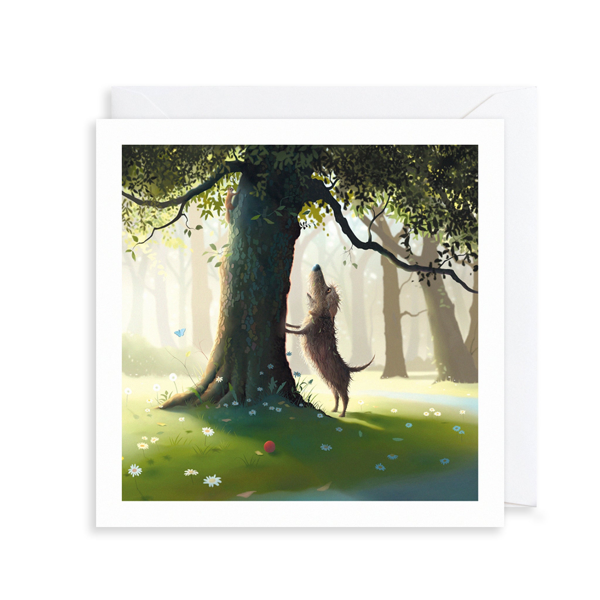 Dog Park Greetings Card The Art File