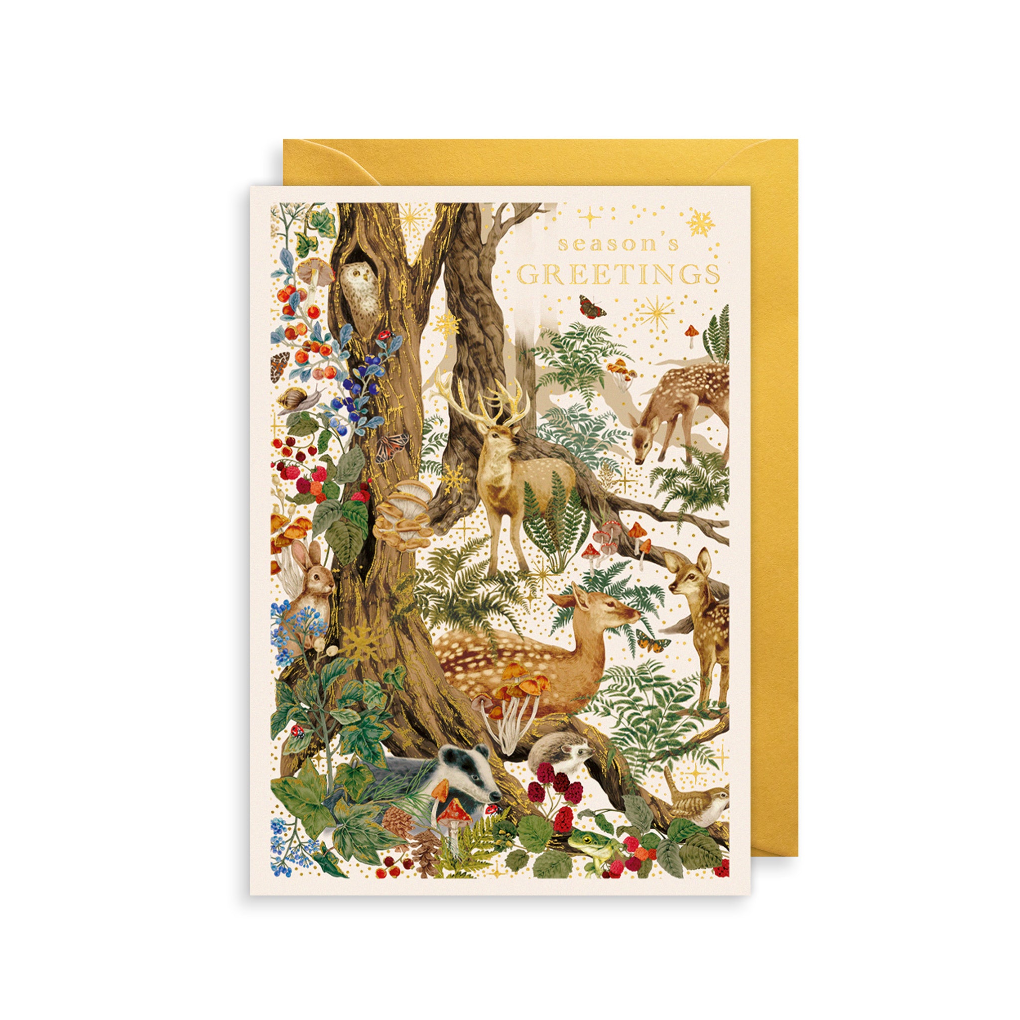 Woodland Animals Christmas Card The Art File