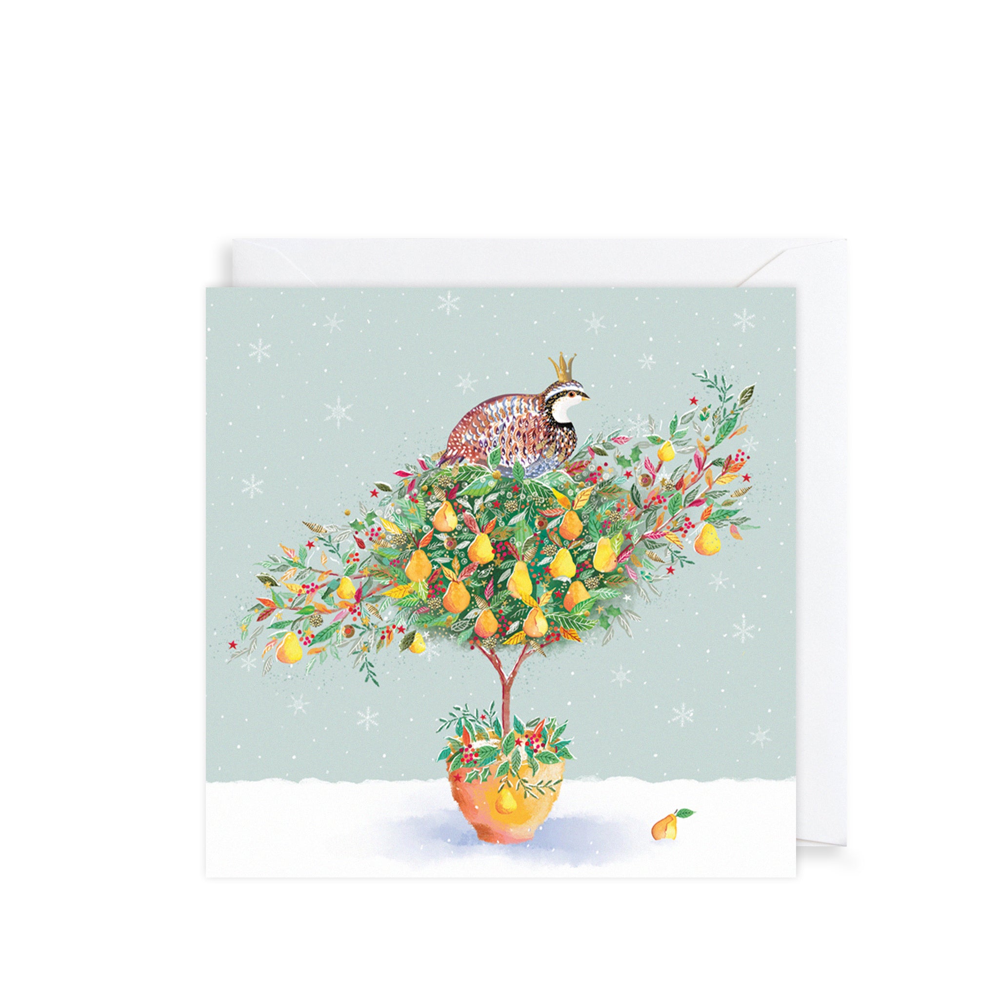 Partridge in Pear Tree, Christmas Charity Cards