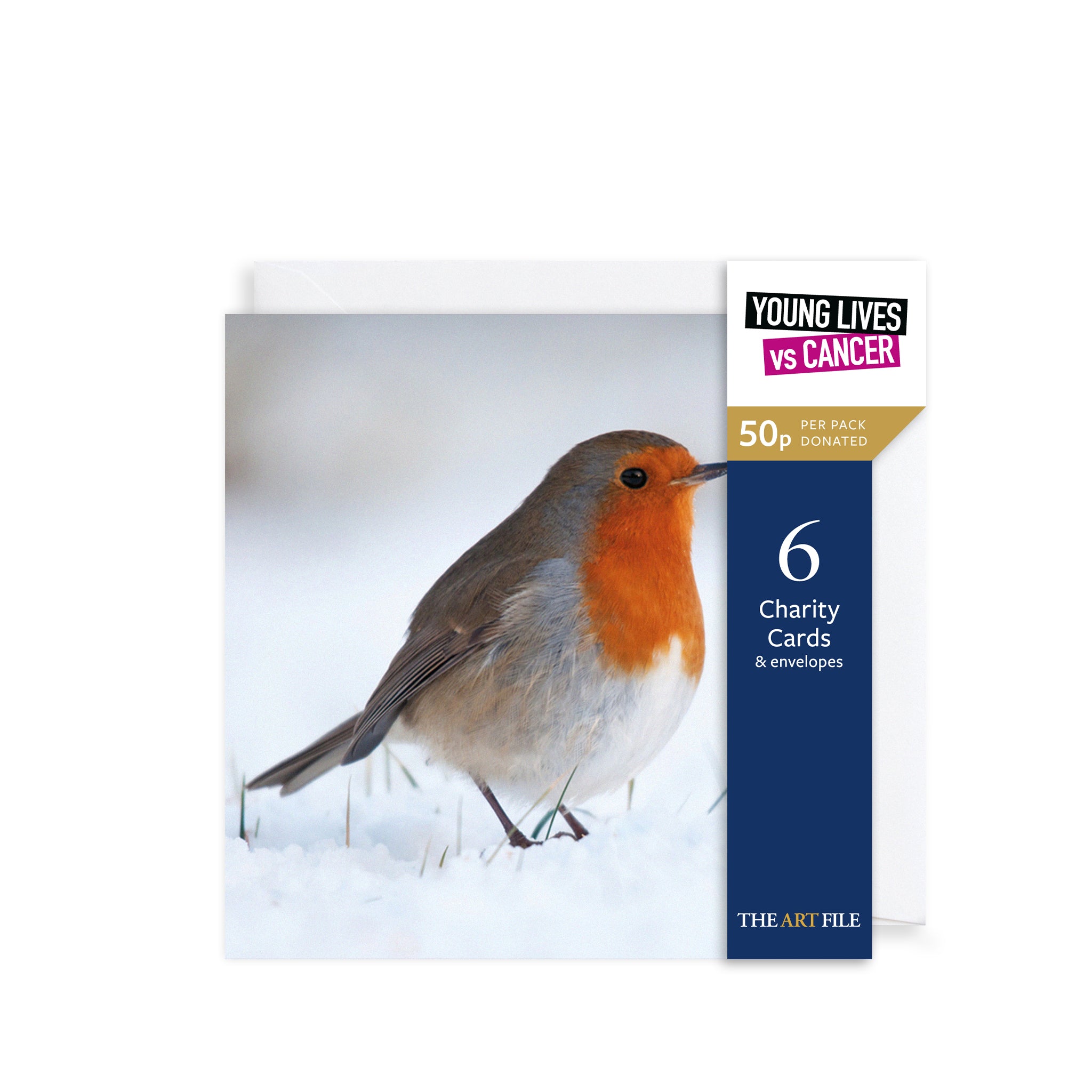 Snowy Robin, Christmas Charity Cards