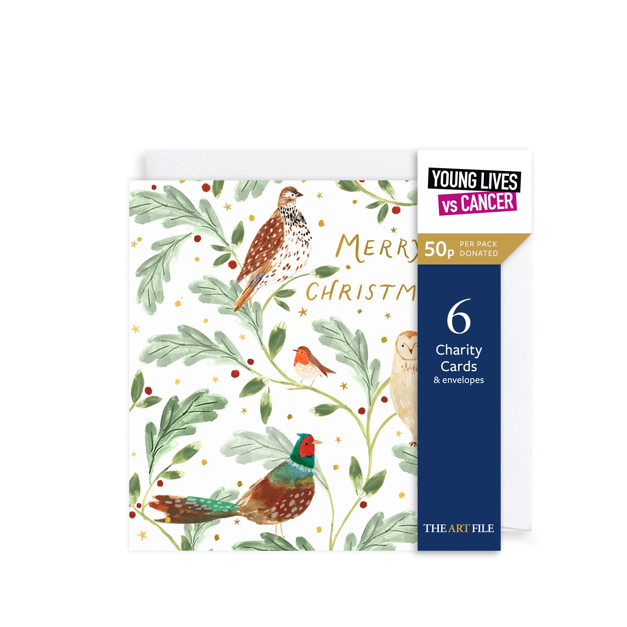 Festive Birds, Christmas Charity Cards
