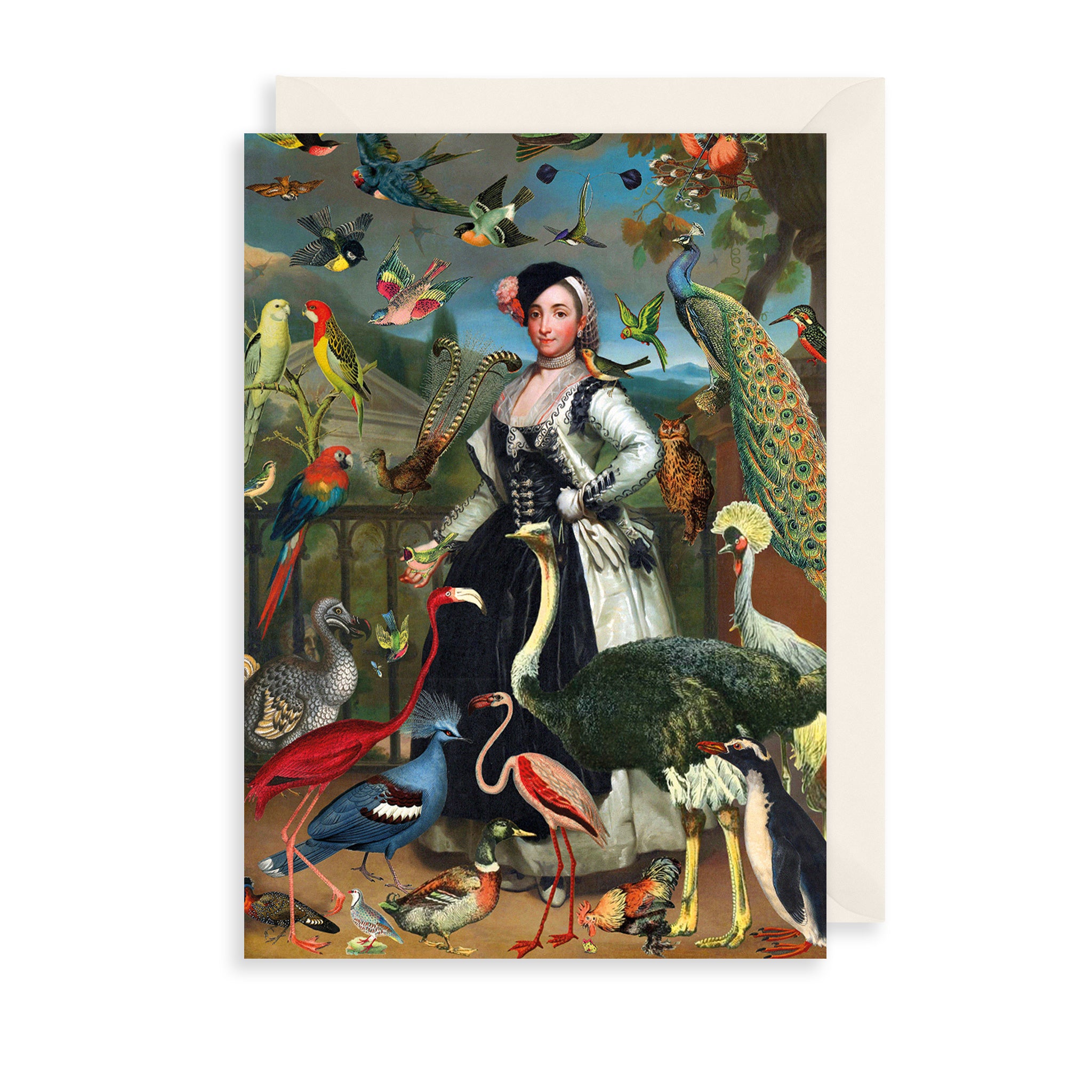 Tropical Birds Greetings Card The Art File