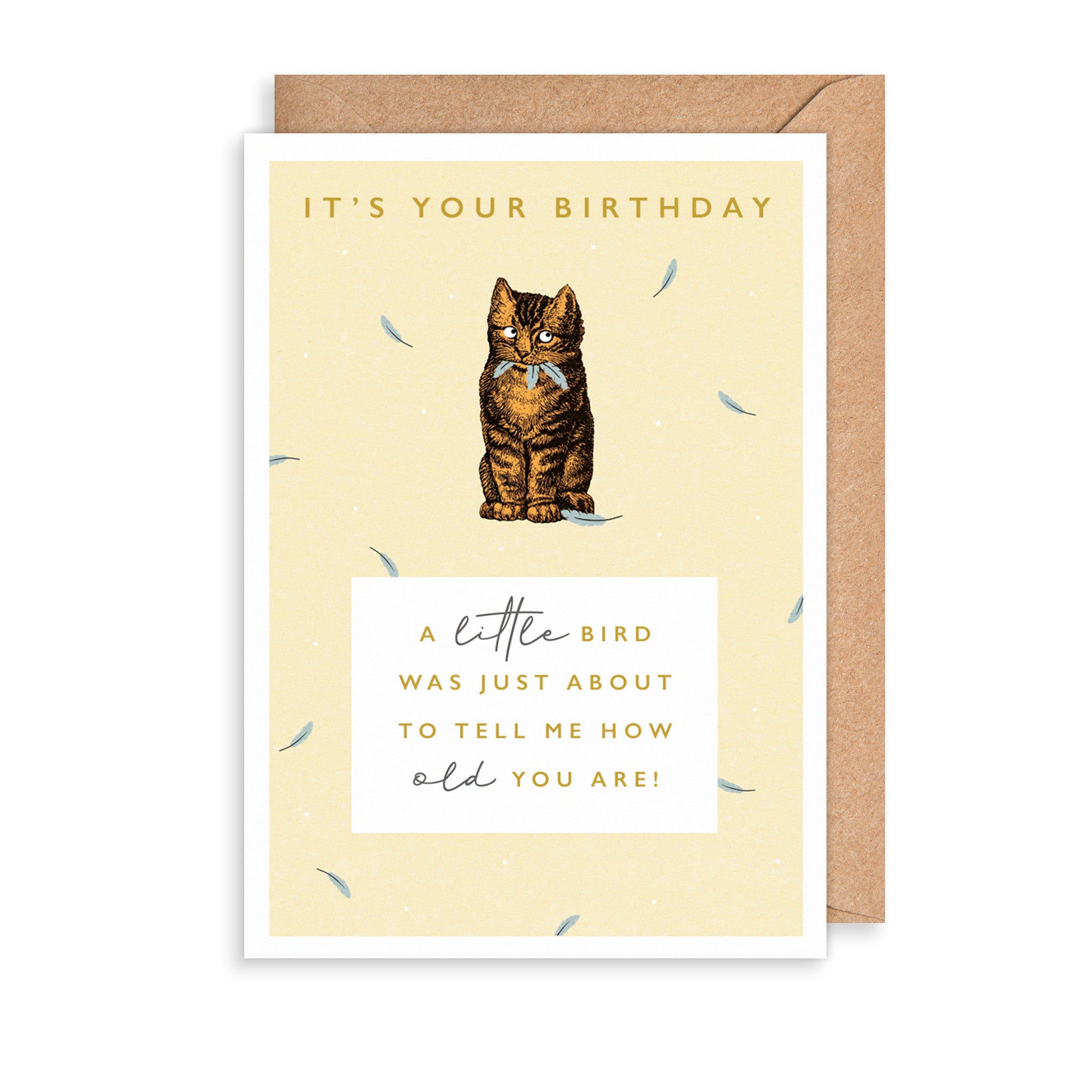 A Little Bird Greetings Card The Art File