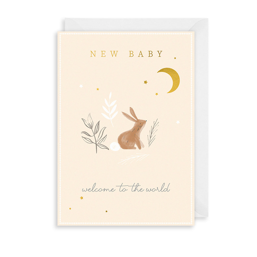 Welcome New Baby Greetings Card The Art File