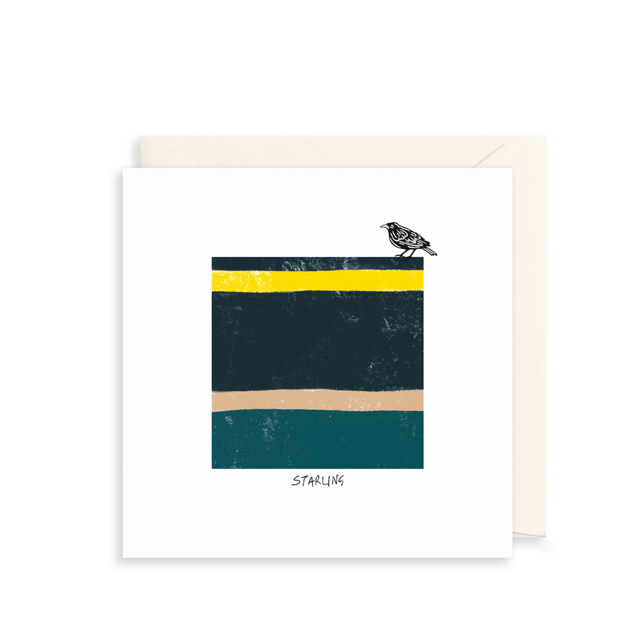 Starling Everyday Card