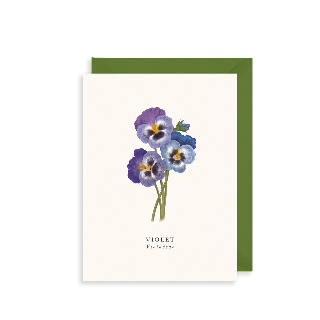 Violet Greetings Card The Art File