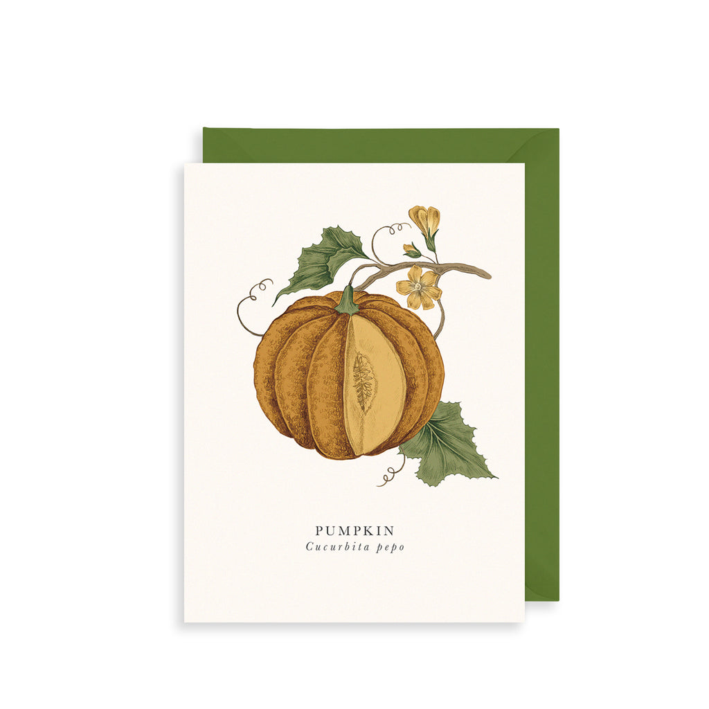 Pumpkin Greetings Card The Art File