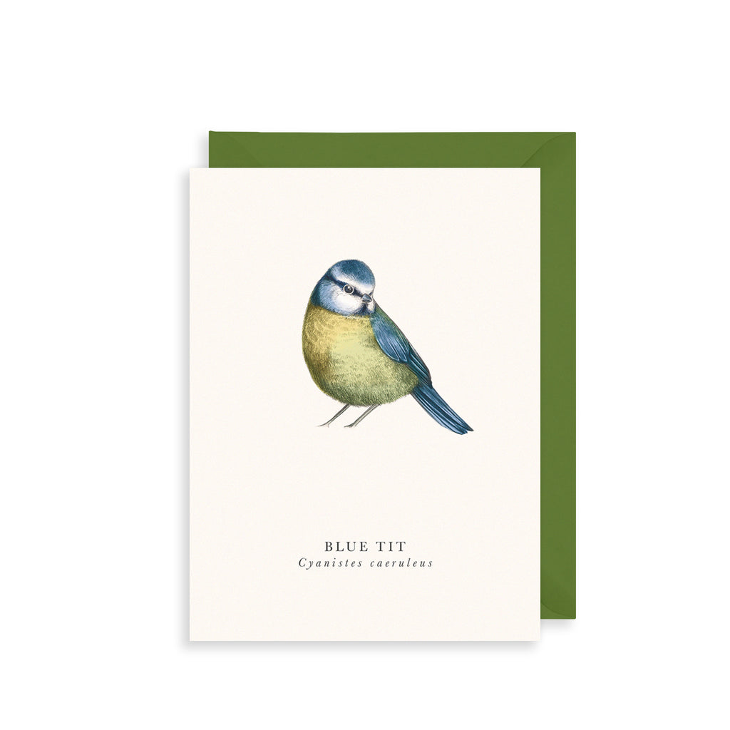 Blue Tit Greetings Card The Art File