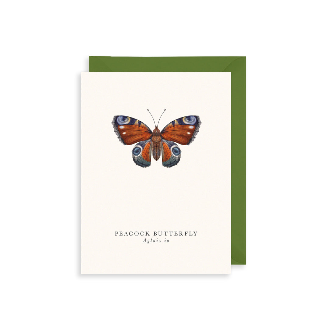 Peacock Butterfly Greetings Card The Art File