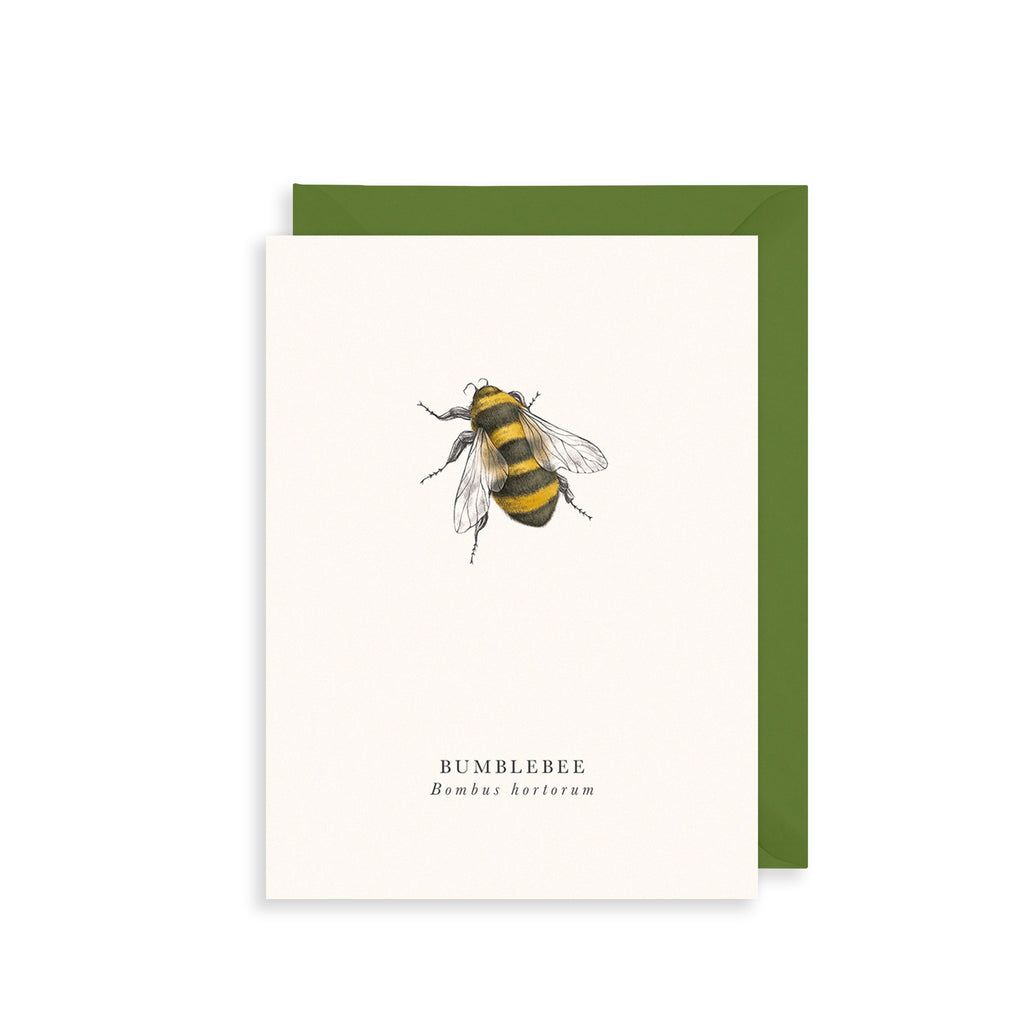 Bumble Bee Greetings Card The Art File