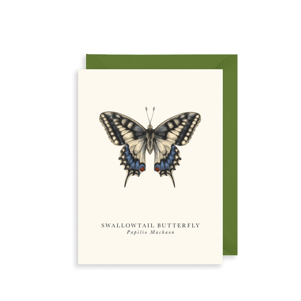 Swallowtail Greetings Card The Art File