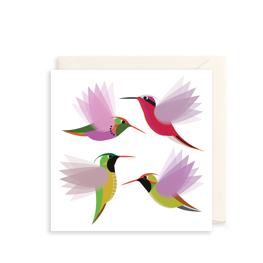 Hummingbird Pattern Greetings Card The Art File