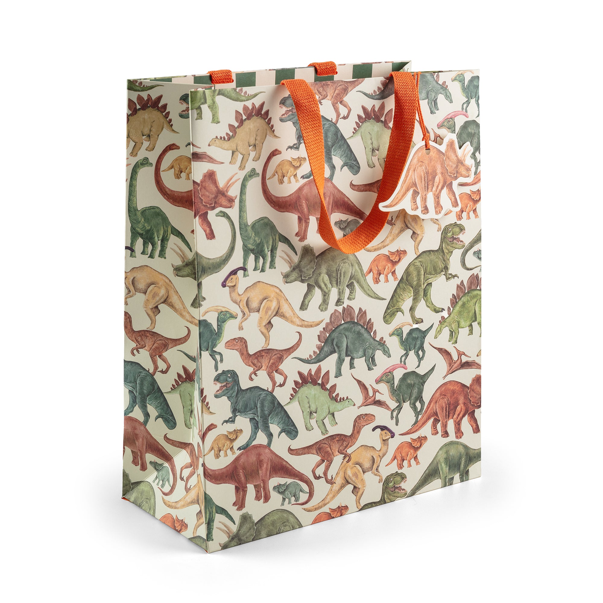 Dinosaur, Large Gift Bag