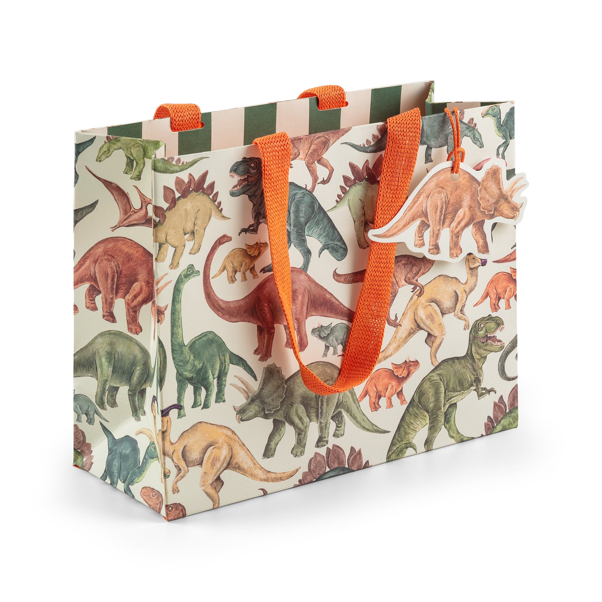 Dinosaurs, Medium Landscape Gift Bag