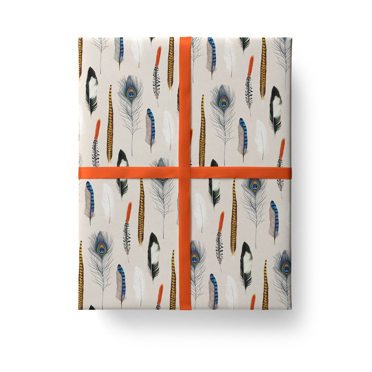 Files Wrapped Feathers Gift Wrap | The Art File Wrapping Paper