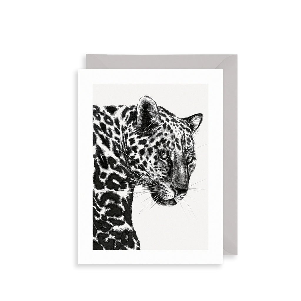 Leopard Greetings Card The Art File