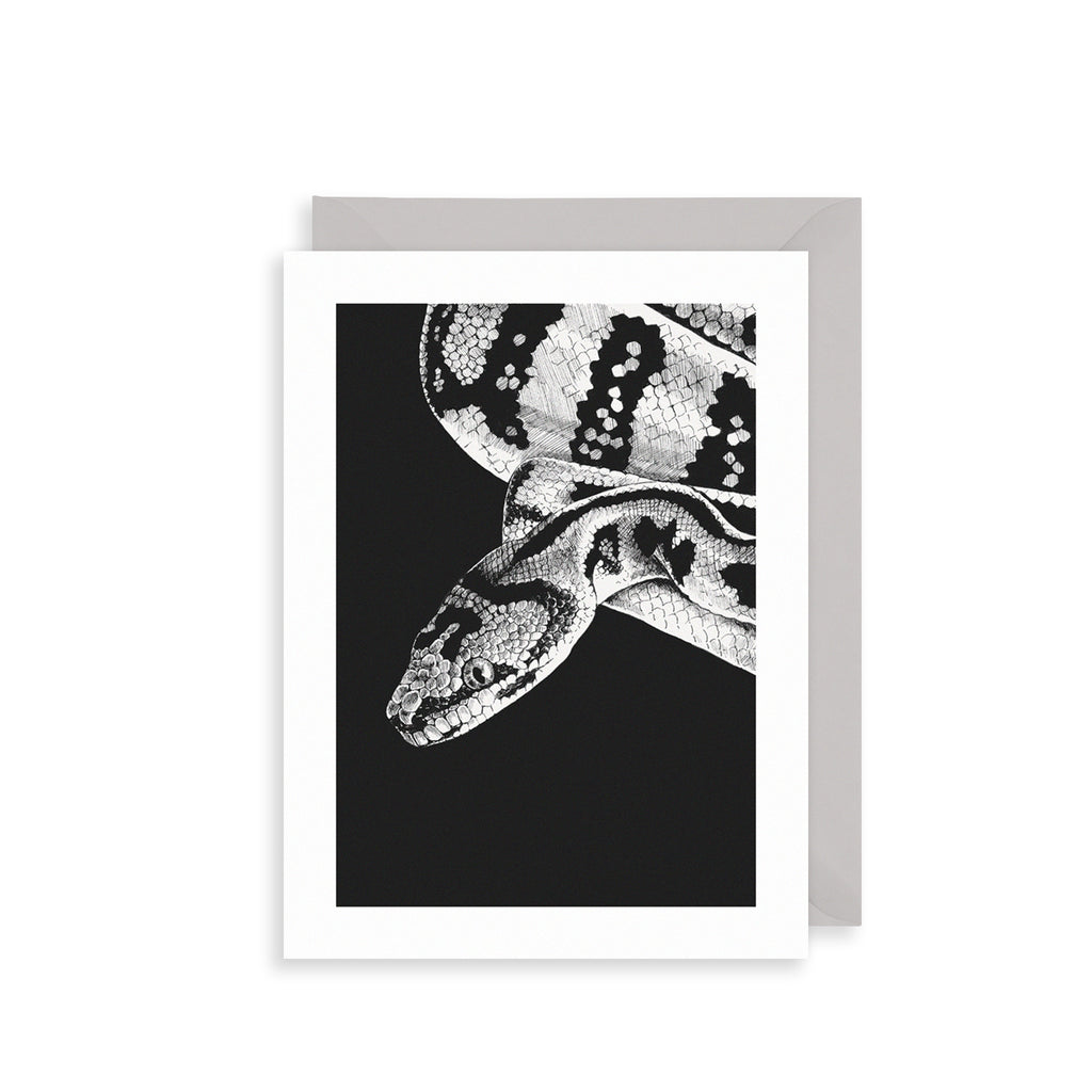 Python Greetings Card The Art File