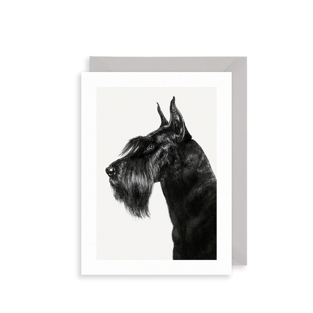 Giant Schnauzer Greetings Card The Art File
