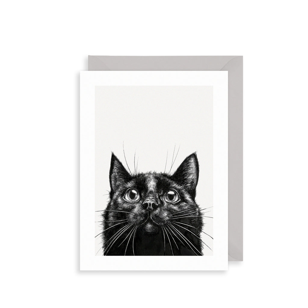 Black Cat Greetings Card The Art File