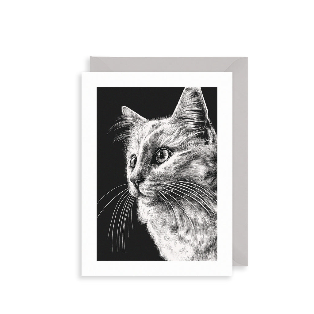 White Cat Greetings Card The Art File
