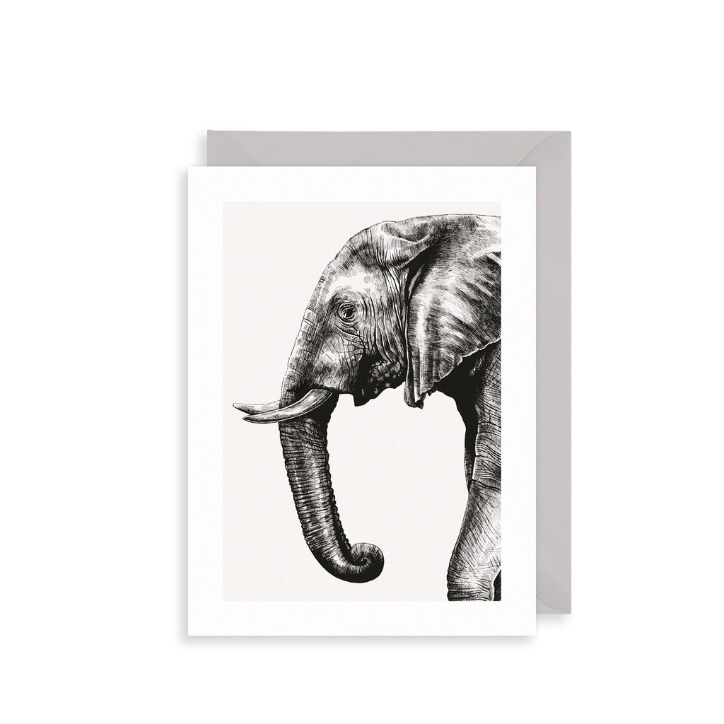 African Elephant Greetings Card The Art File